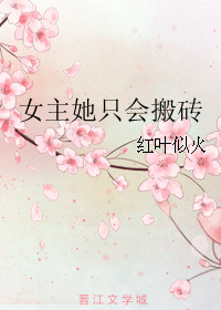 女主她只会搬砖